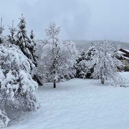 Panska Hata Jaremtsche Exterior foto