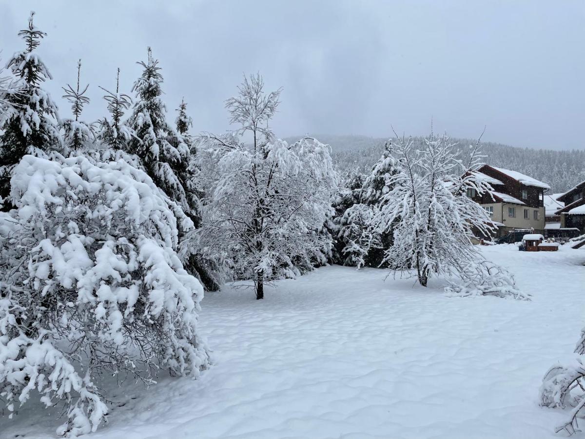 Panska Hata Jaremtsche Exterior foto