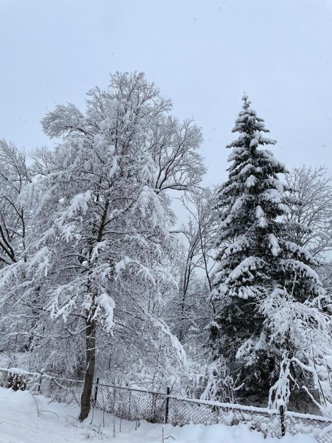 Panska Hata Jaremtsche Exterior foto